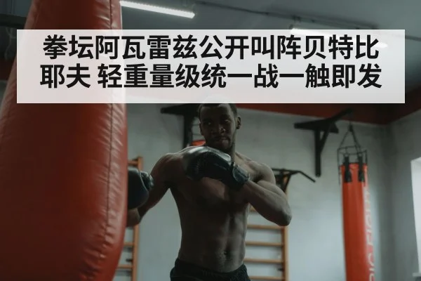 boxer training heavy bag